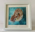 Nautilus - Print