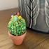 DIY Beaded Ball Cactus Kit with Terracotta Pot