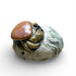 Crab on Seaweed