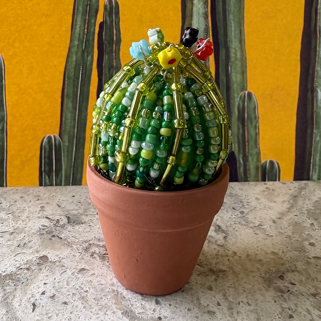 DIY Beaded Ball Cactus Kit with Terracotta Pot