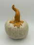 Speckled Pumpkin