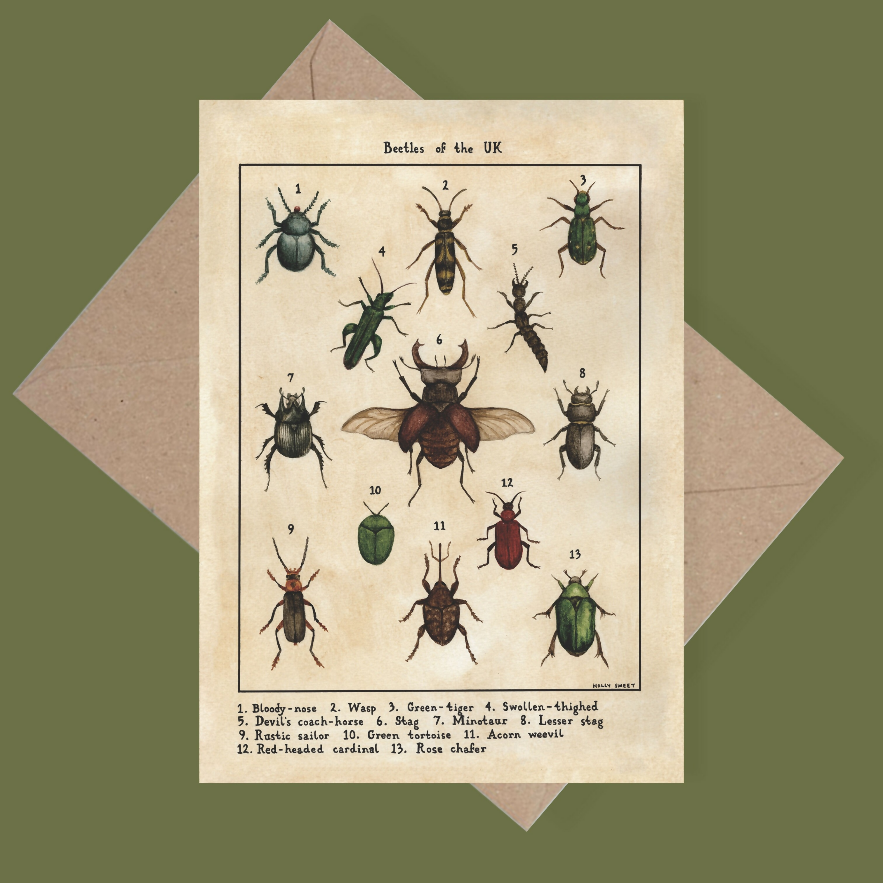 Beetles Of The UK Greetings Card