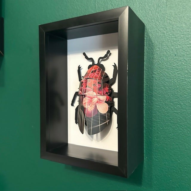 3D Red & Black Floral Paper Beetle In A Deep Black Box Frame