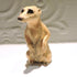 Ceramic Meerkat sculpture