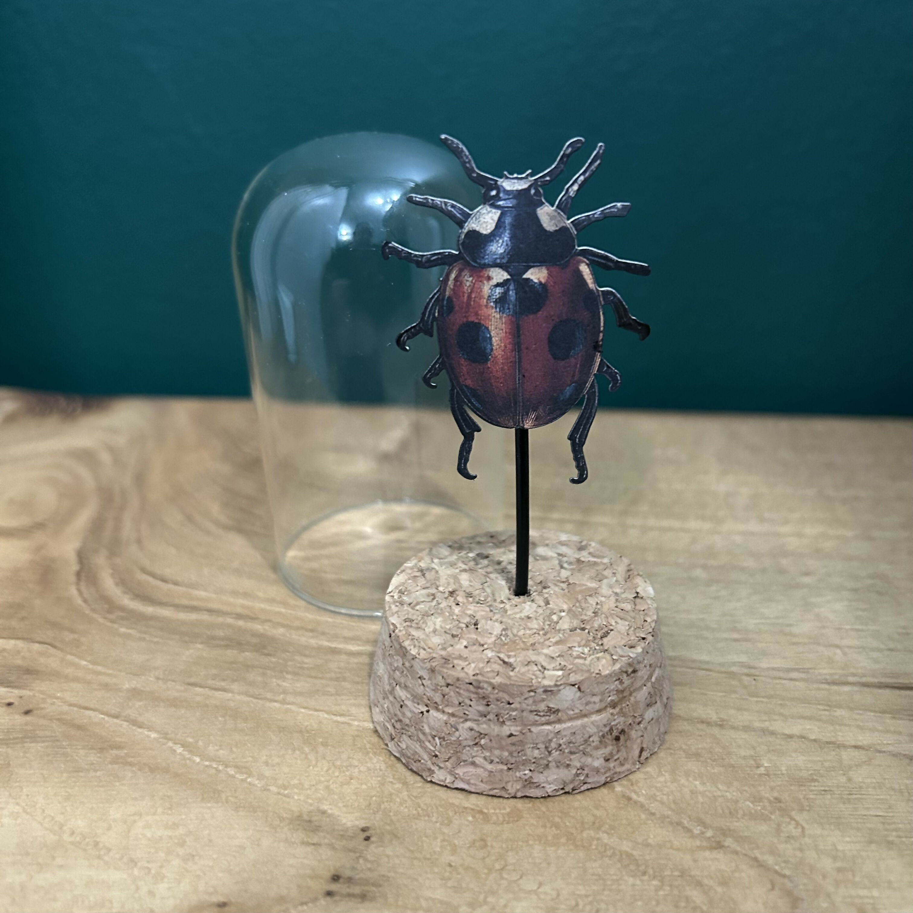 Antique Inspired Lady Bug In A Glass Dome