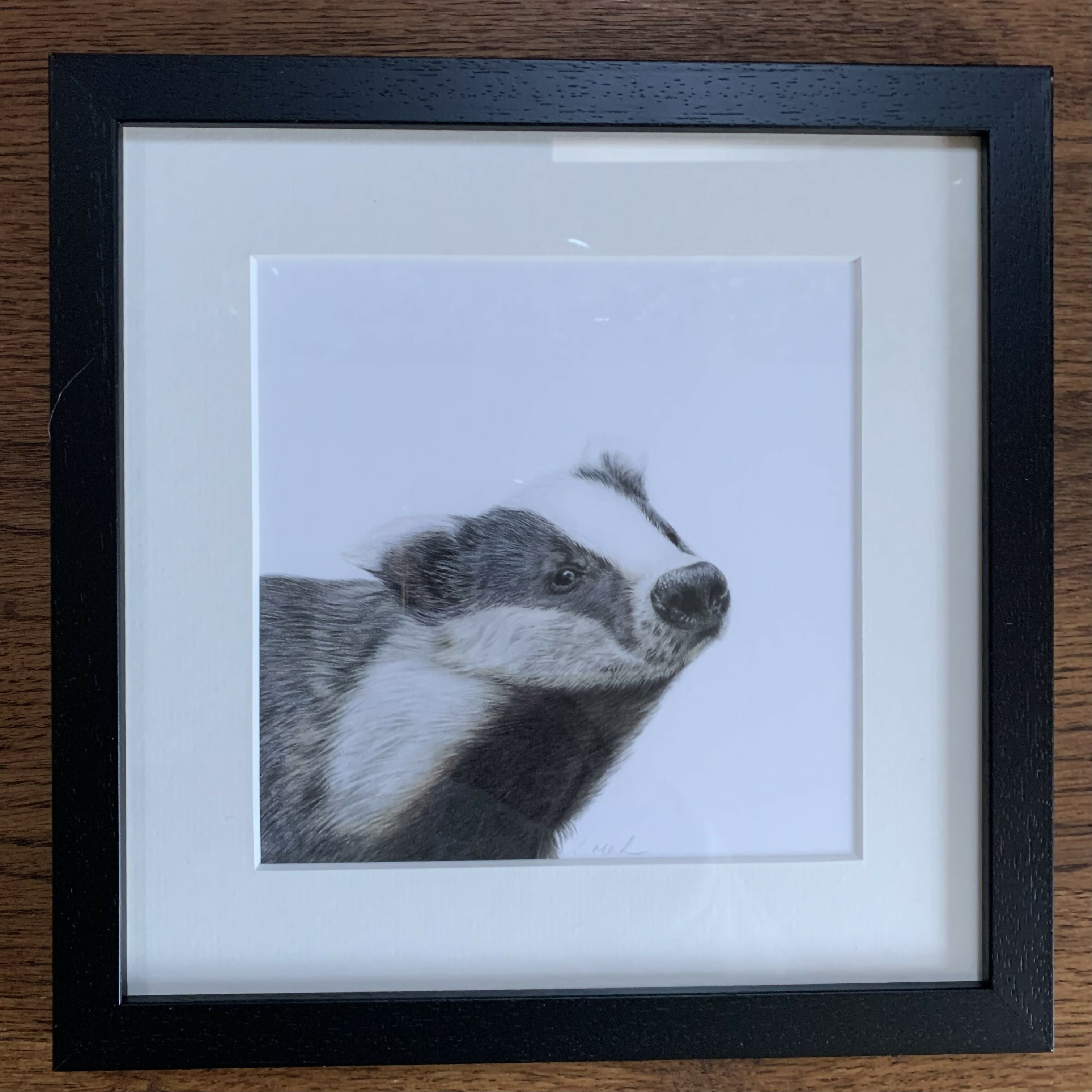 Fine Art Square Giclée Print of Badger