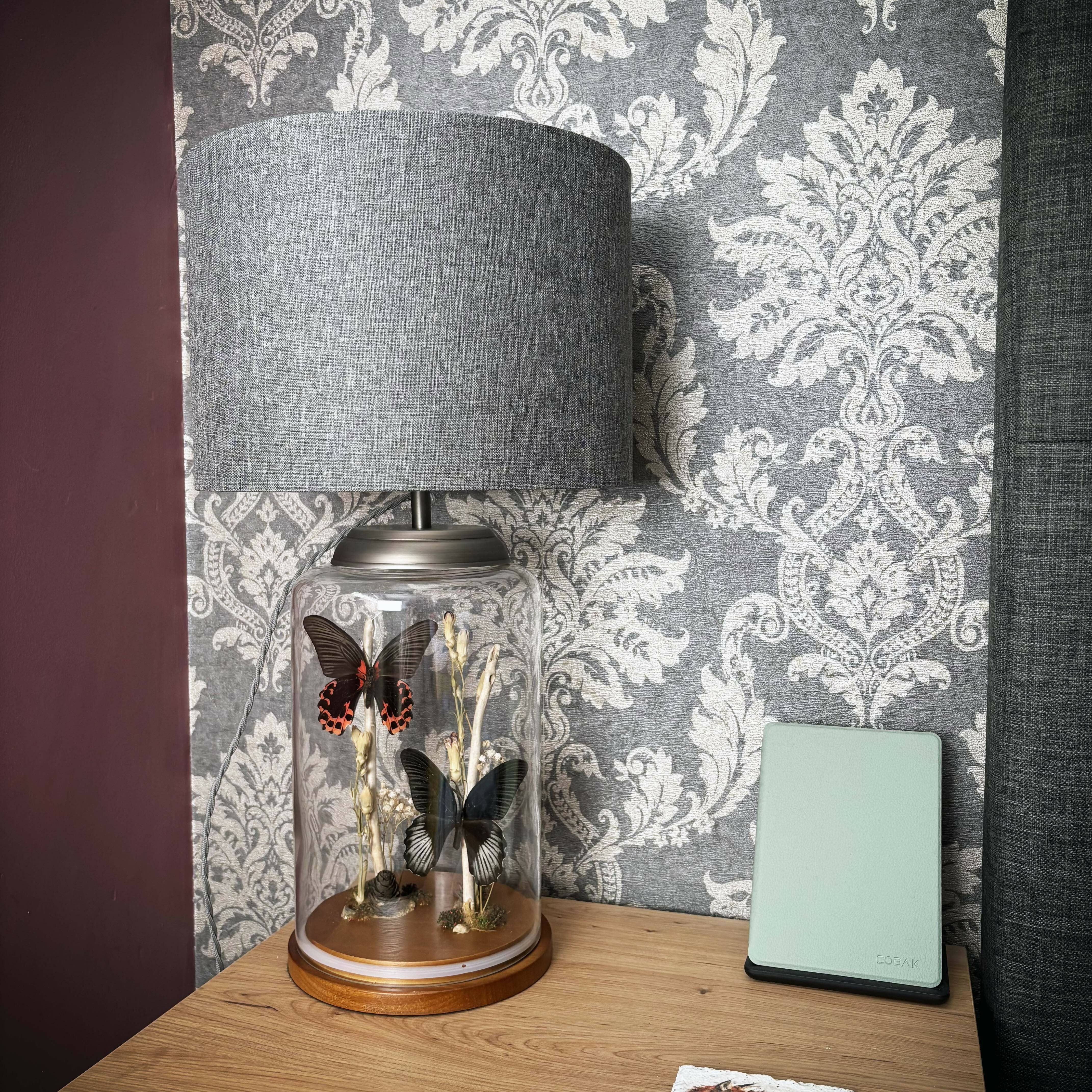 Real Butterfly Natural Display Glass Cloche Lamp with Grey Shade