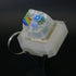 Keycap Fidgets - Single