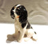 Ceramic cavalier king charles spaniel dog sculpture