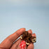 3D Printed Micro Miniatures: Articulated Sensory Fidget Animal friends Manatee, Skunk, Hedgehog, Spider, Capybara, Crab, Sloths 3-5cm