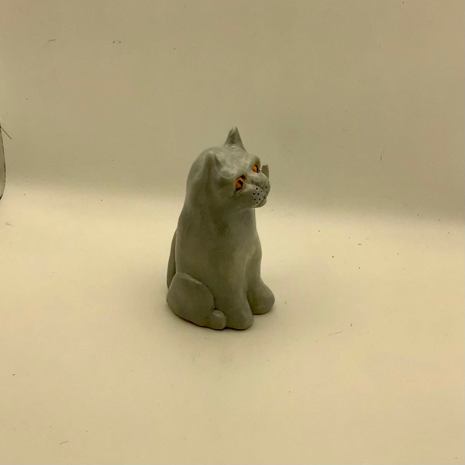 Watchful Grey Cat
