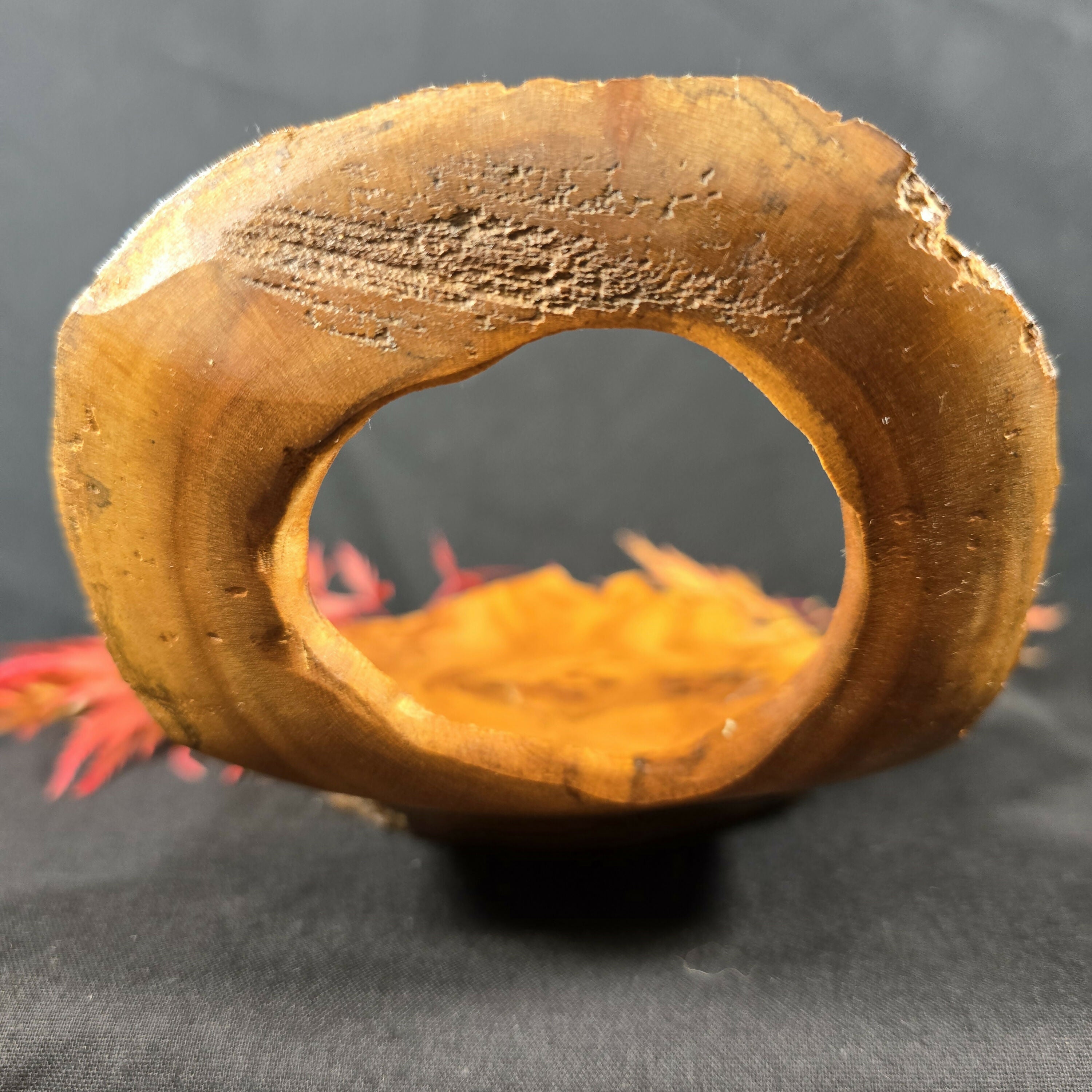 Hand Turned Elm Burr Wood Art