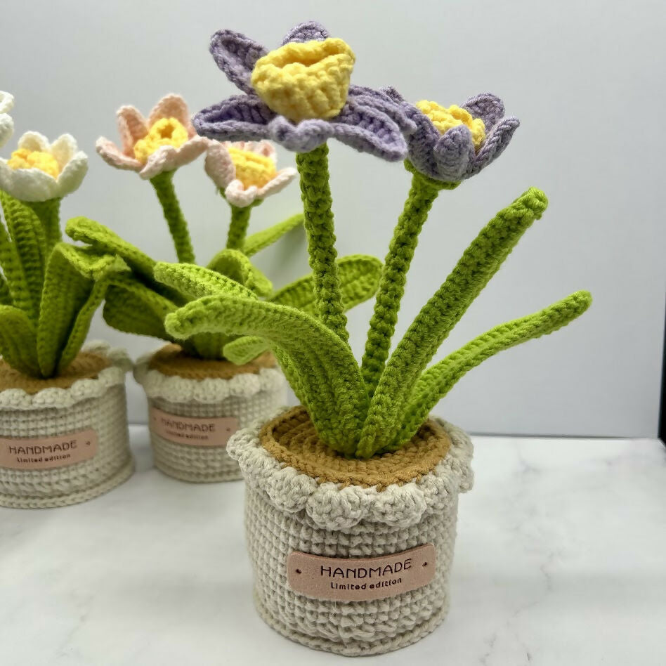 Crochet Daffodil In Scallop Edge Pot
