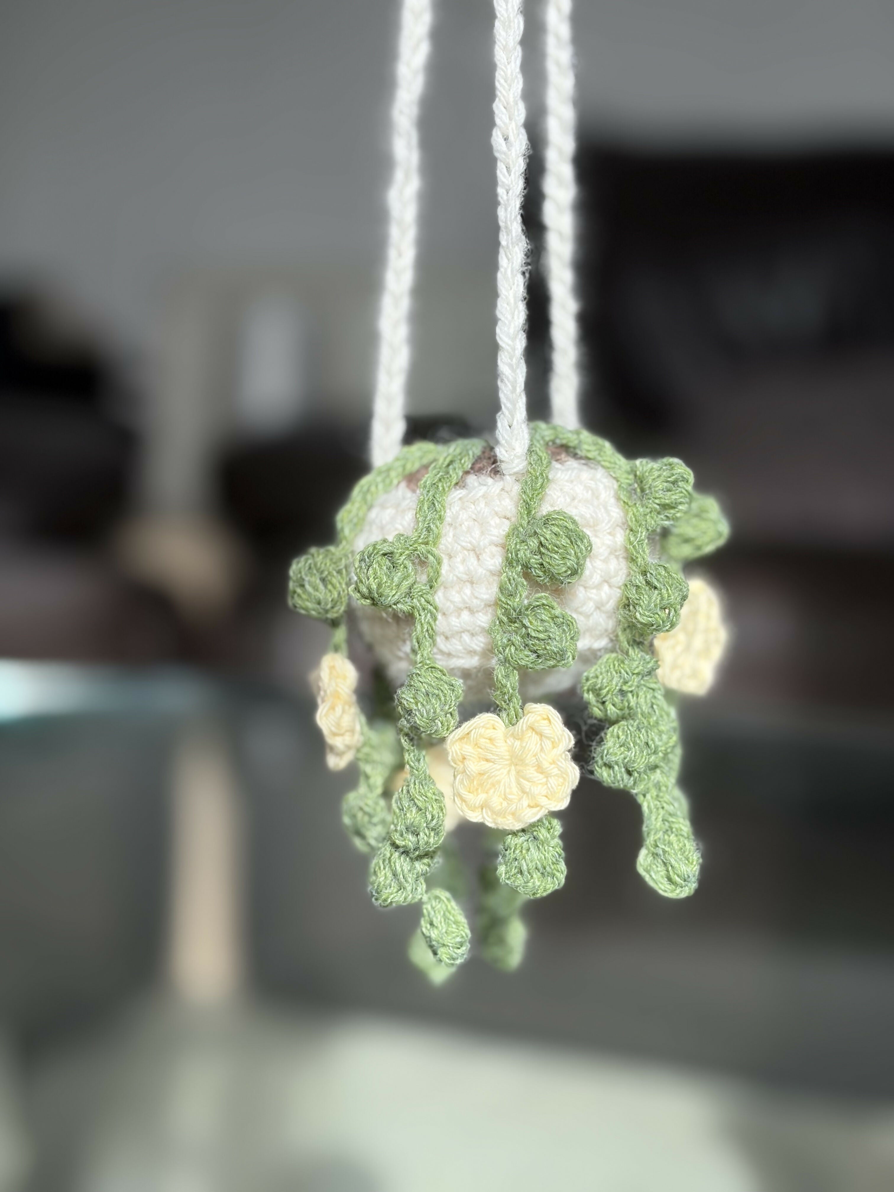 Crochet Hanging Basket