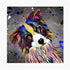 Border Collie Dog Colour Splash Mounted Artwork | Art & Soul