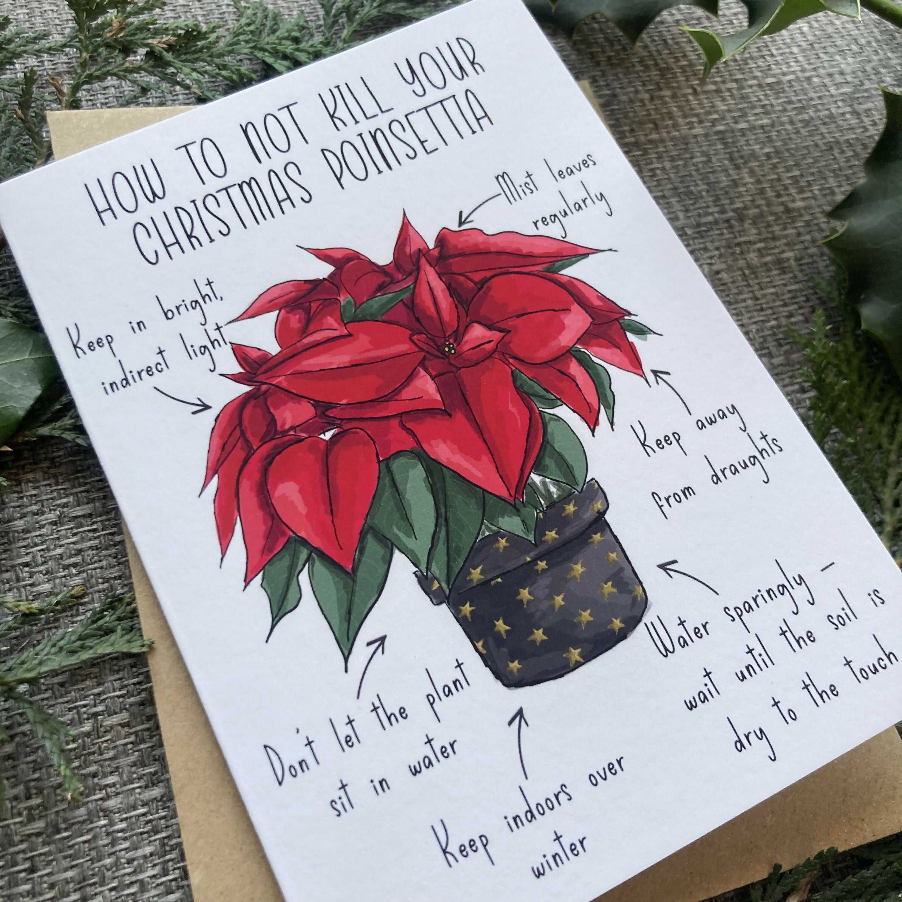 How to Not Kill Your Poinsetta Christmas Card
