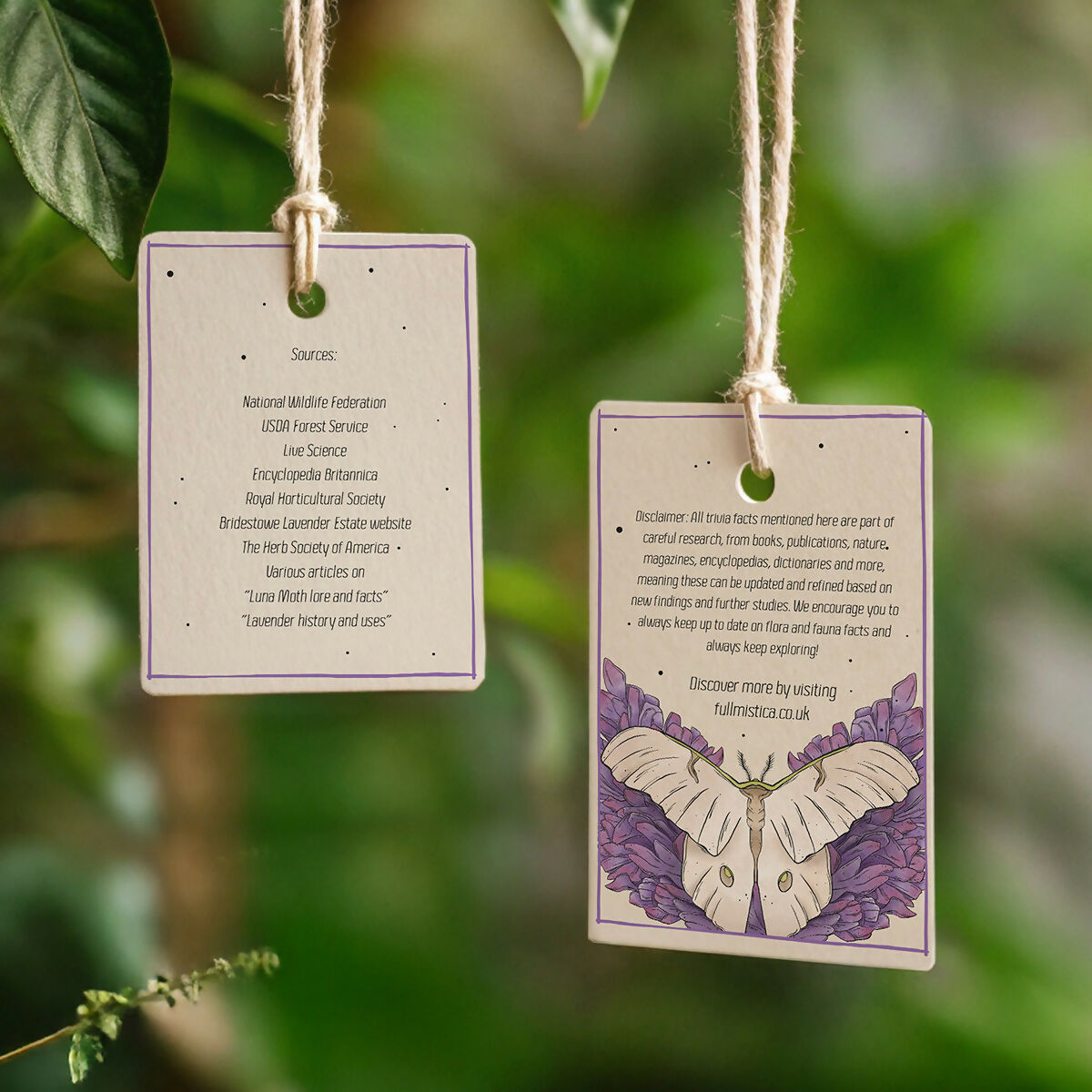 Luna Moth & Lavandula Compendium Tea Towel
