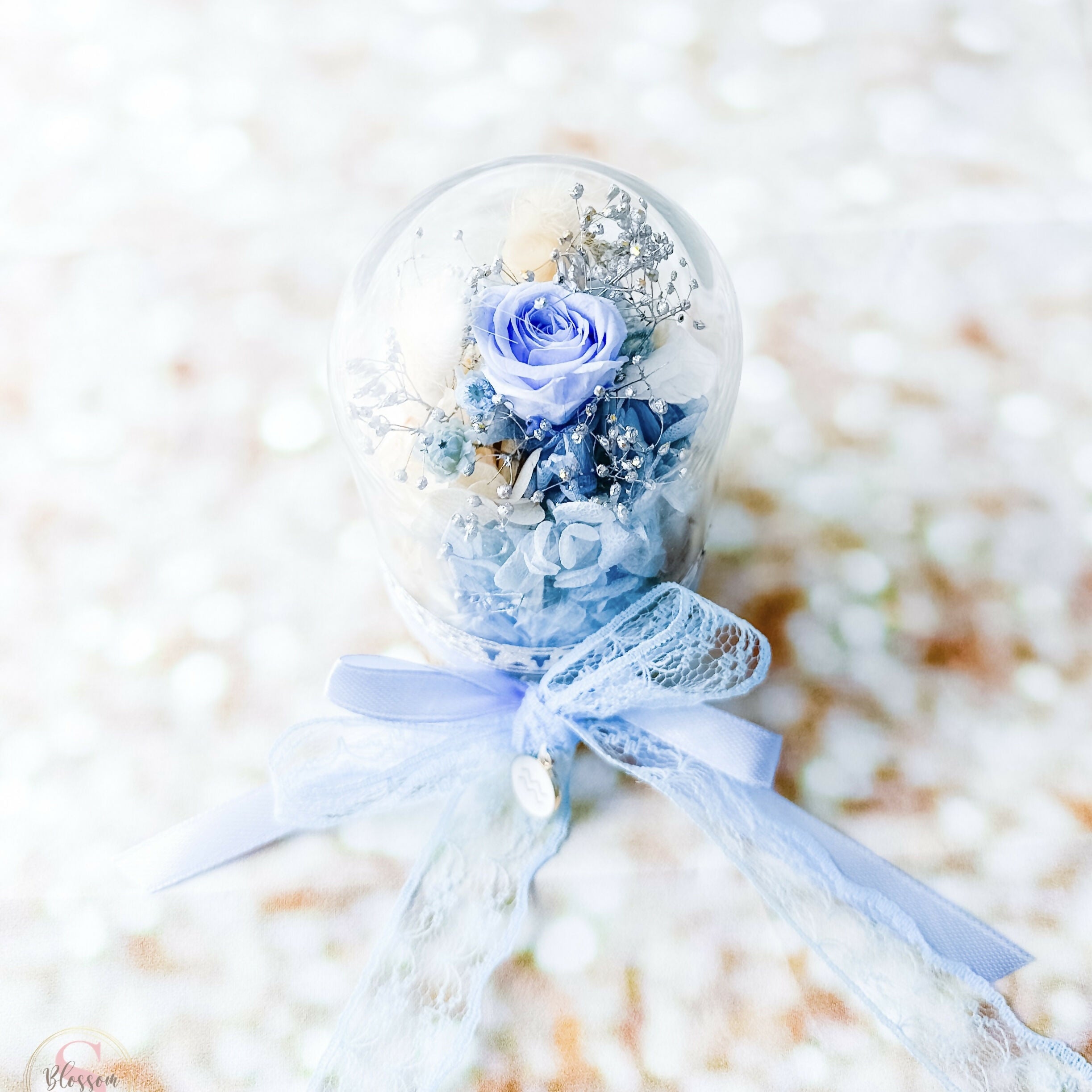 Horoscope Collection - Aqua Dreams (Aquarius)