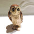Ceramic Spotted owl sculpture - Hooty