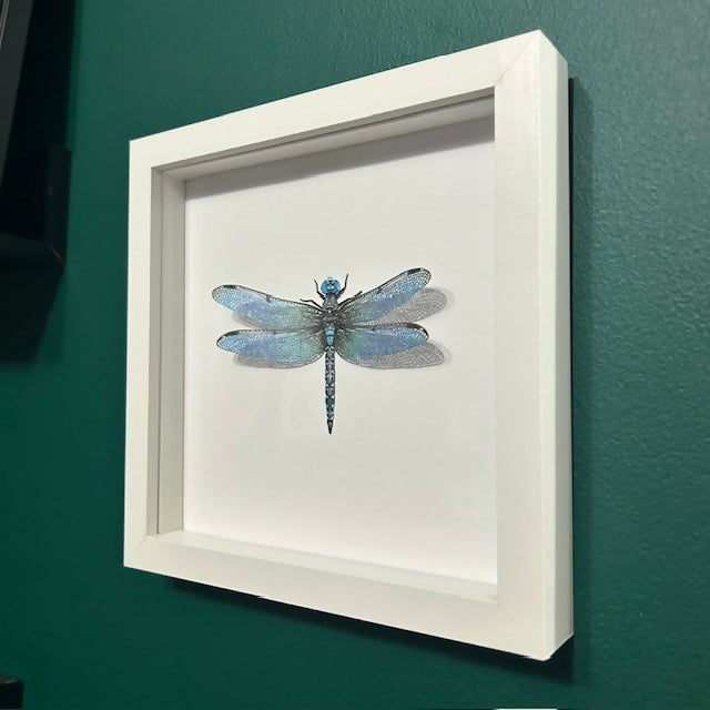 Stunning Faux Paper Blue Dragonfly In A White Box Frame