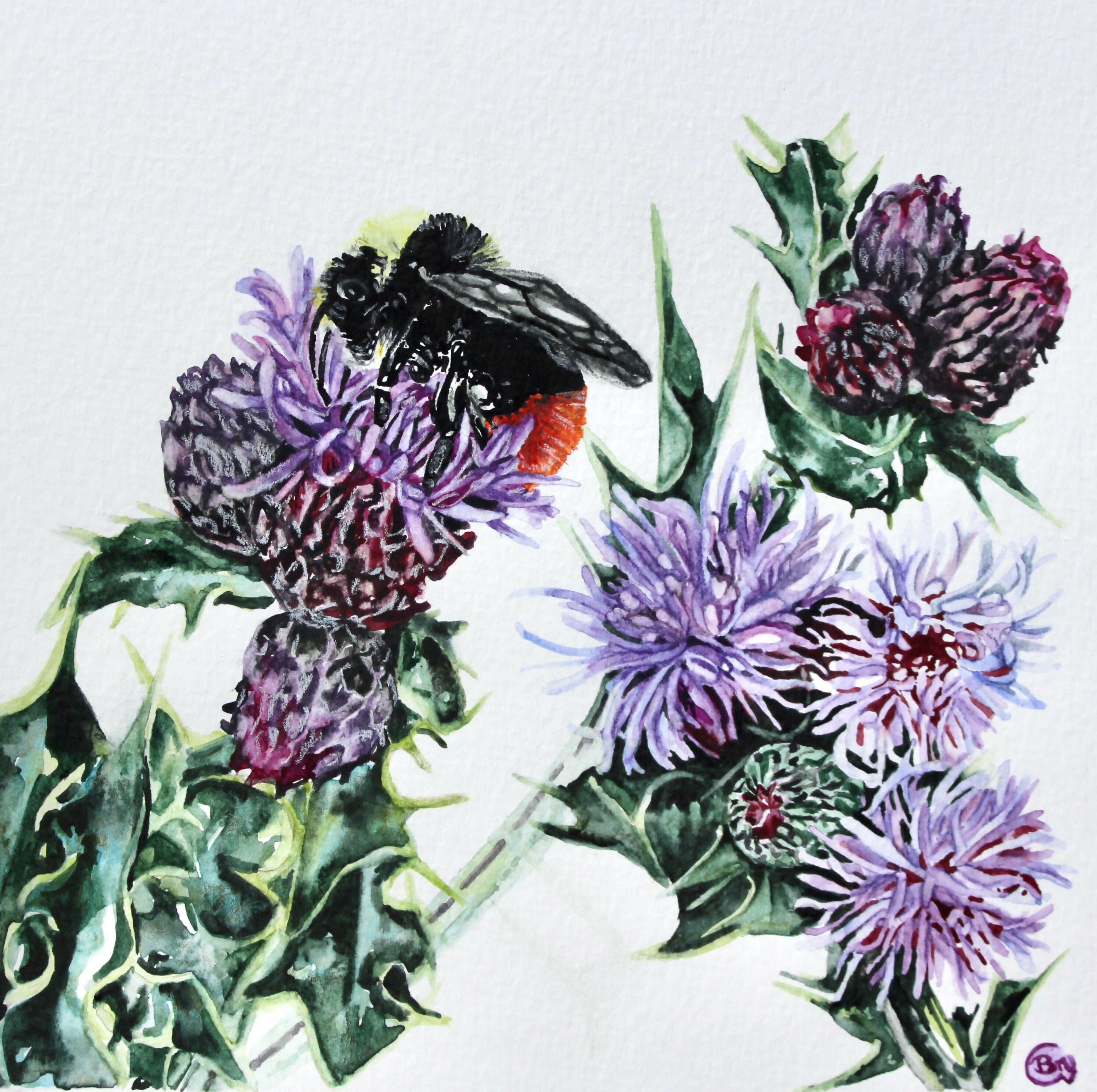 Red Bumblebee - Original Watercolour Painting