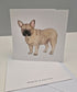 French Bulldog Greeting Card