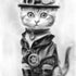 kitten