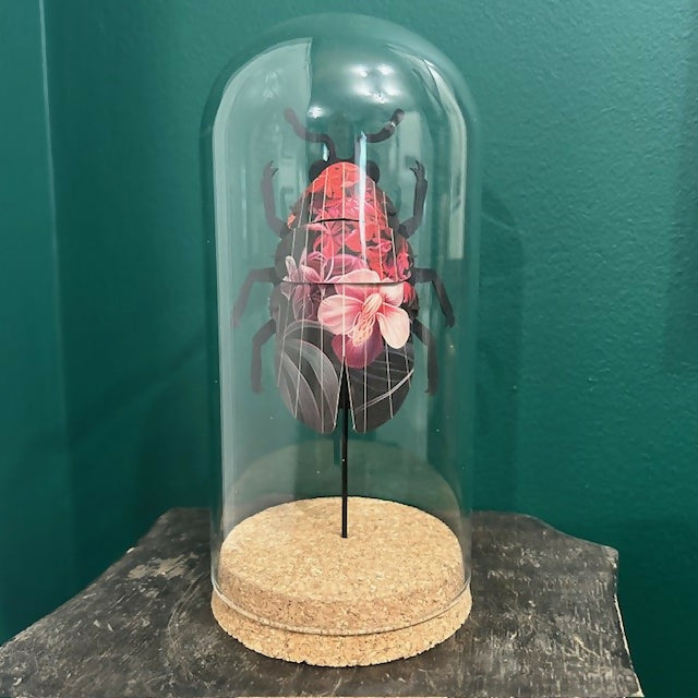 Lovely Glass Dome Featuring A Red & Black Floral 3D Paper Beetle