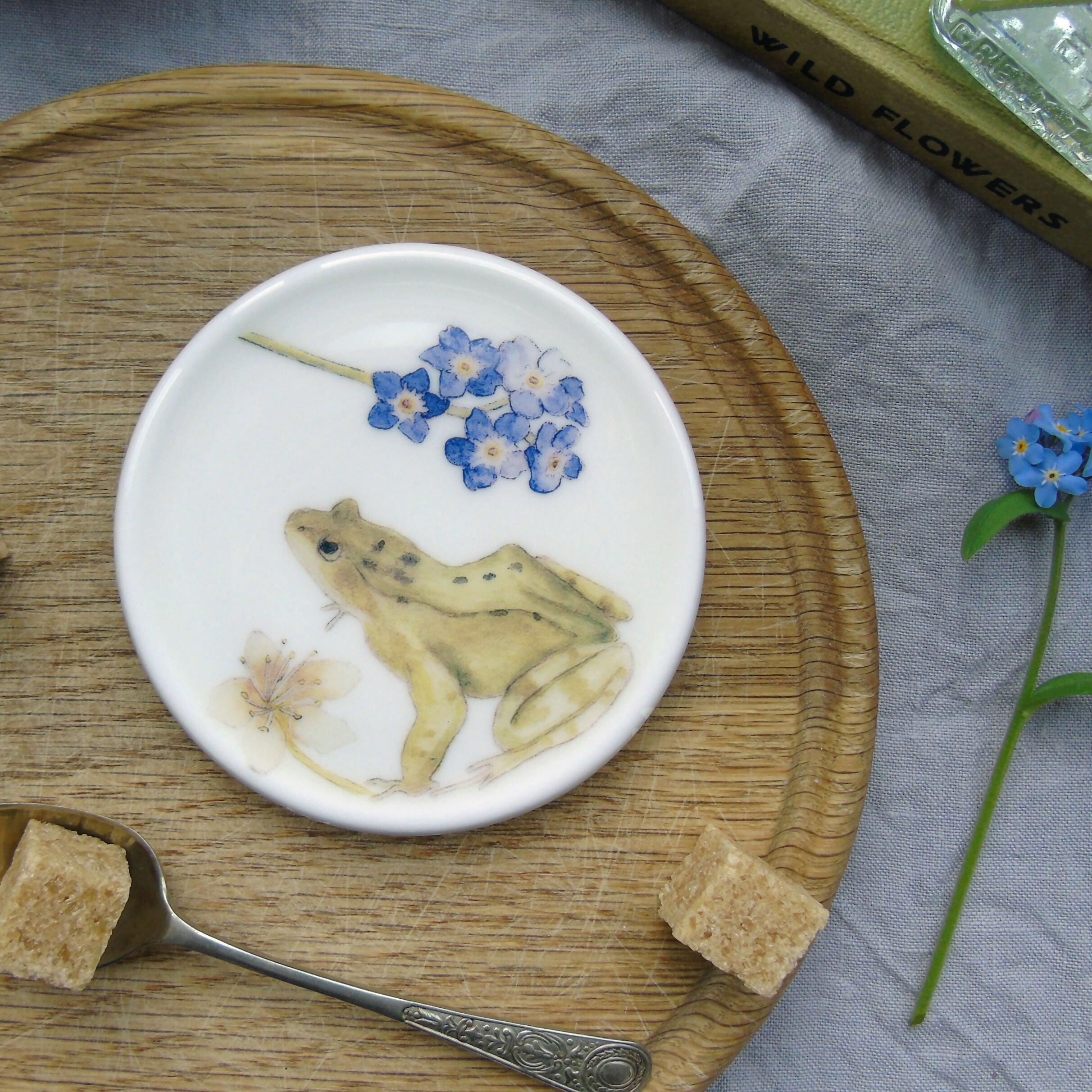 garden frog coaster