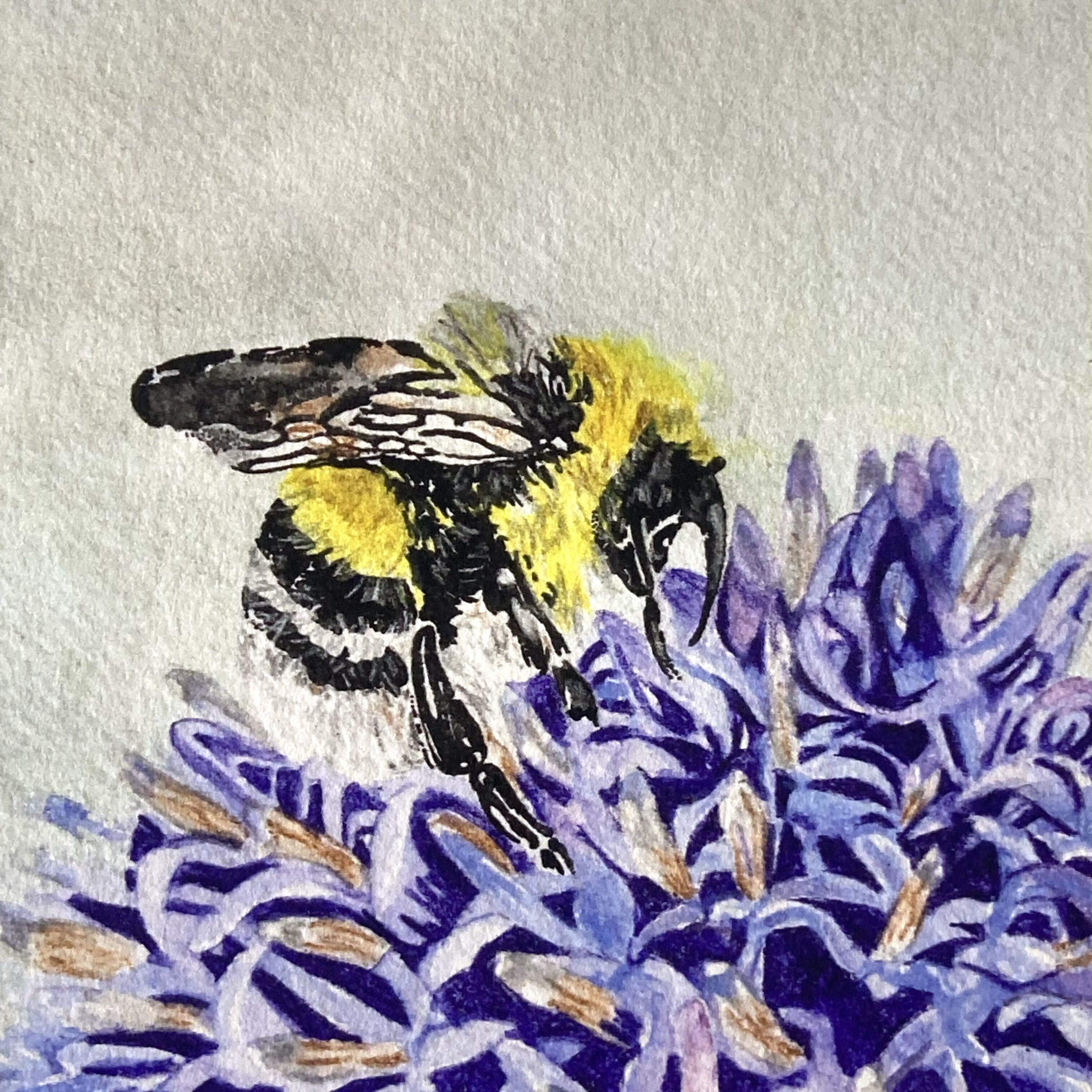 White Bumble - Print