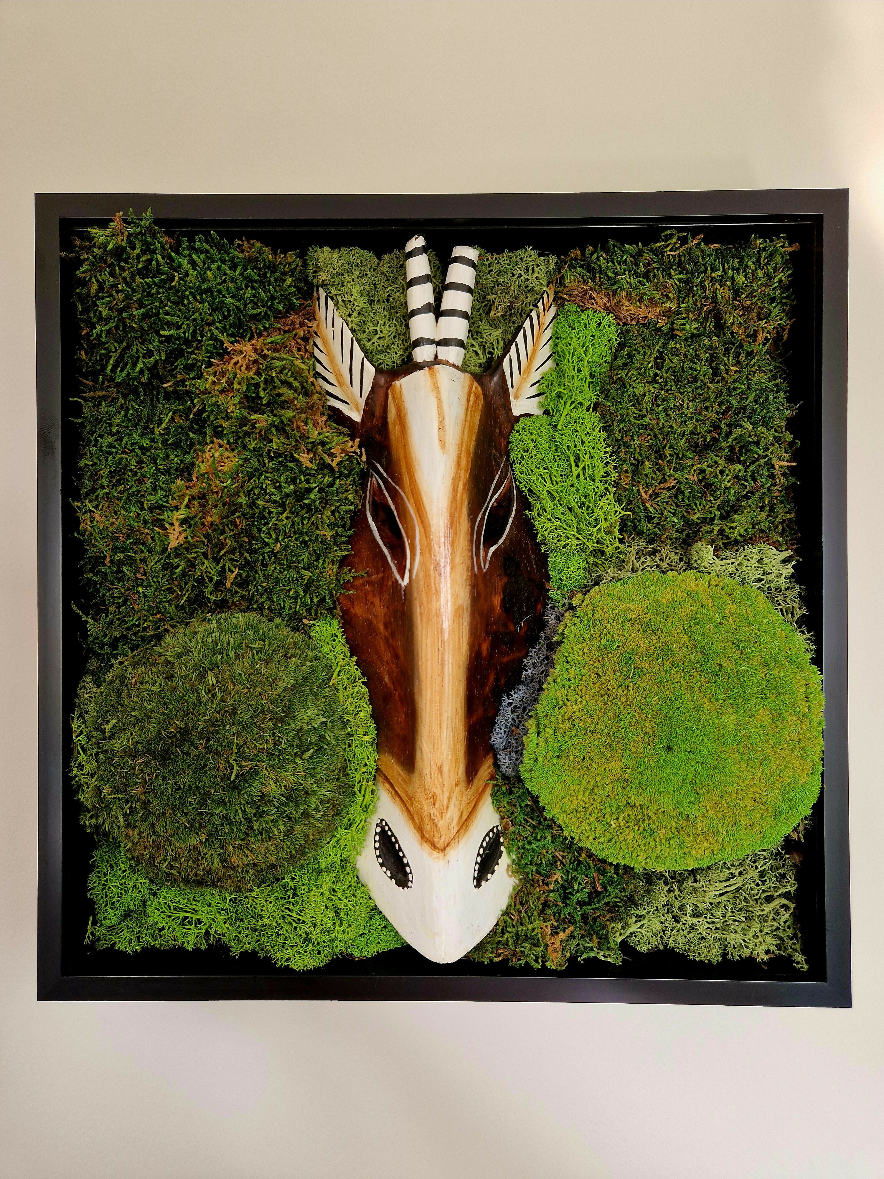 African Gazelle