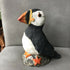 Puffin On a Rock