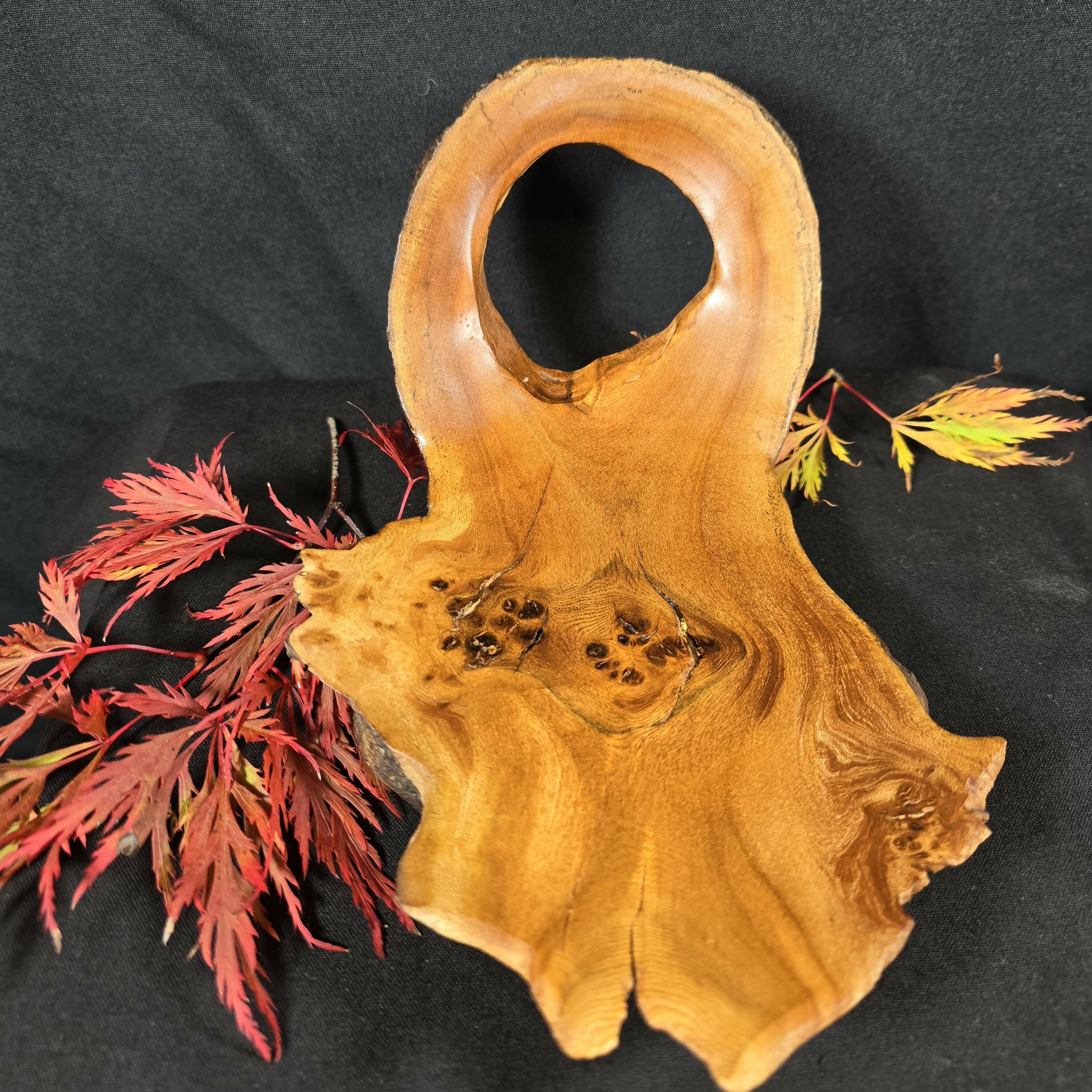 Hand Turned Elm Burr Wood Art