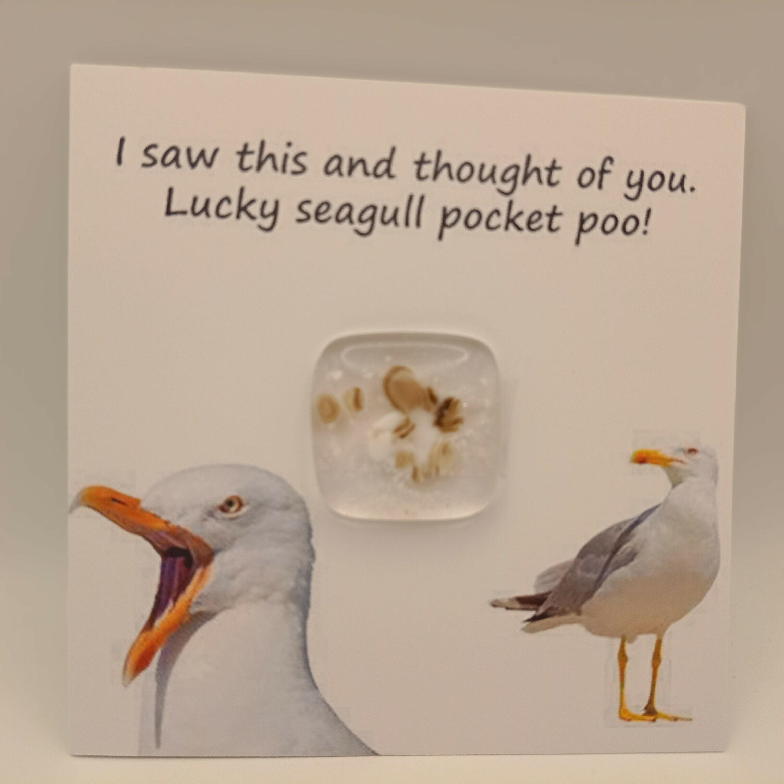 Pocket Poo Card