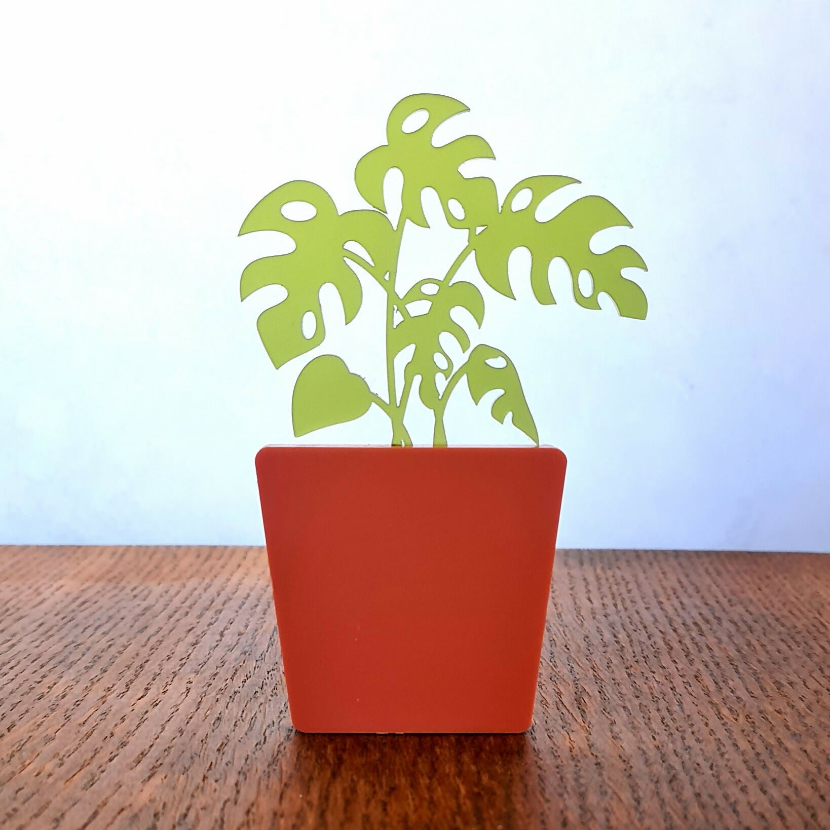 Houseplant - Shelf sitters