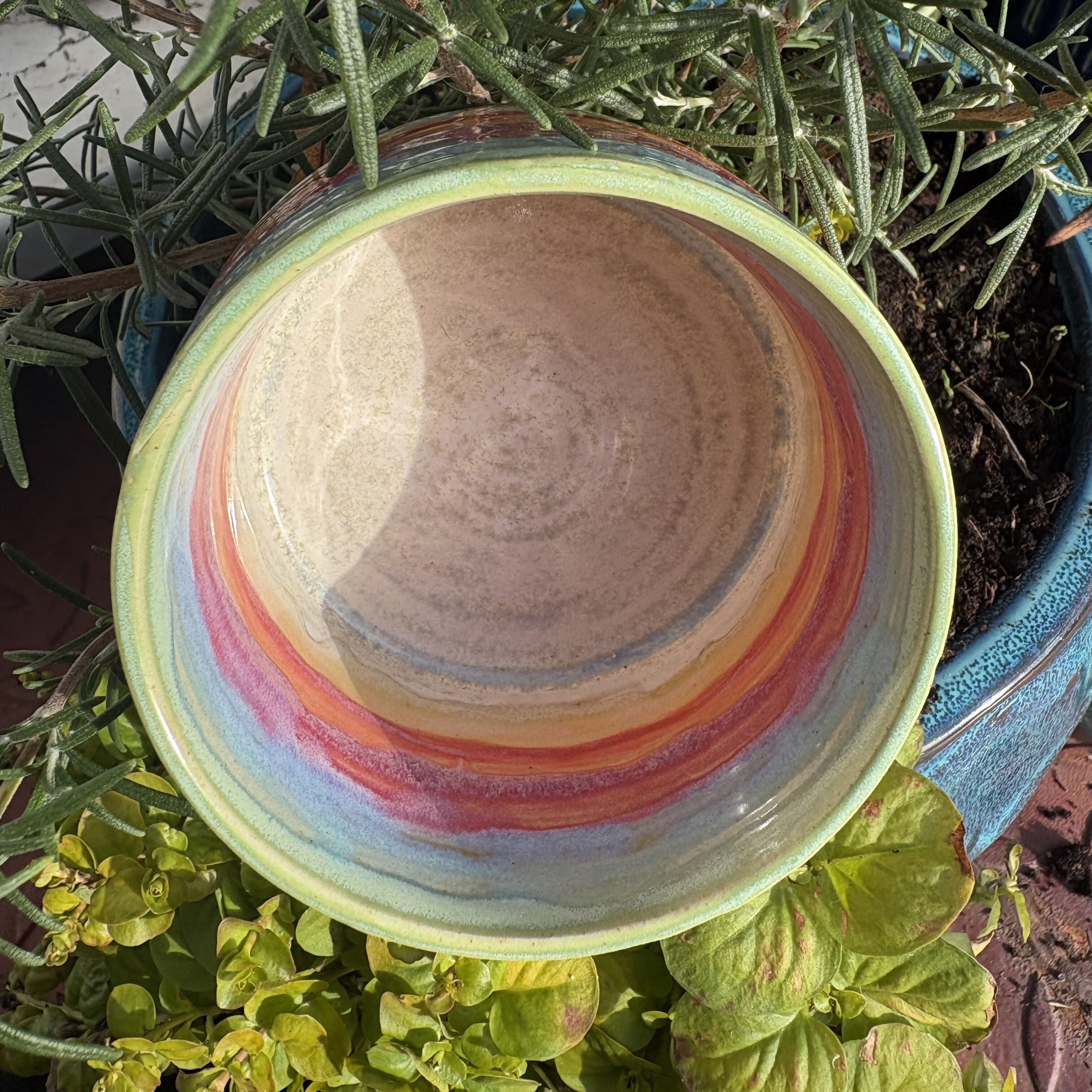 Rainbow Bowl