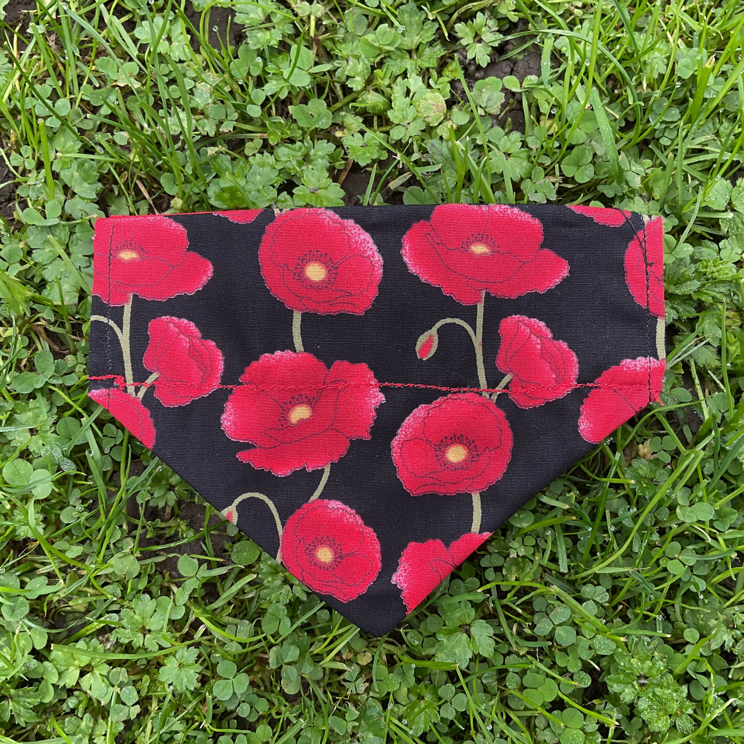 Red and Black Poppy Dog Bandana
