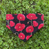 Red and Black Poppy Dog Bandana