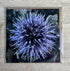 Globe Thistle – Square Greetings Card
