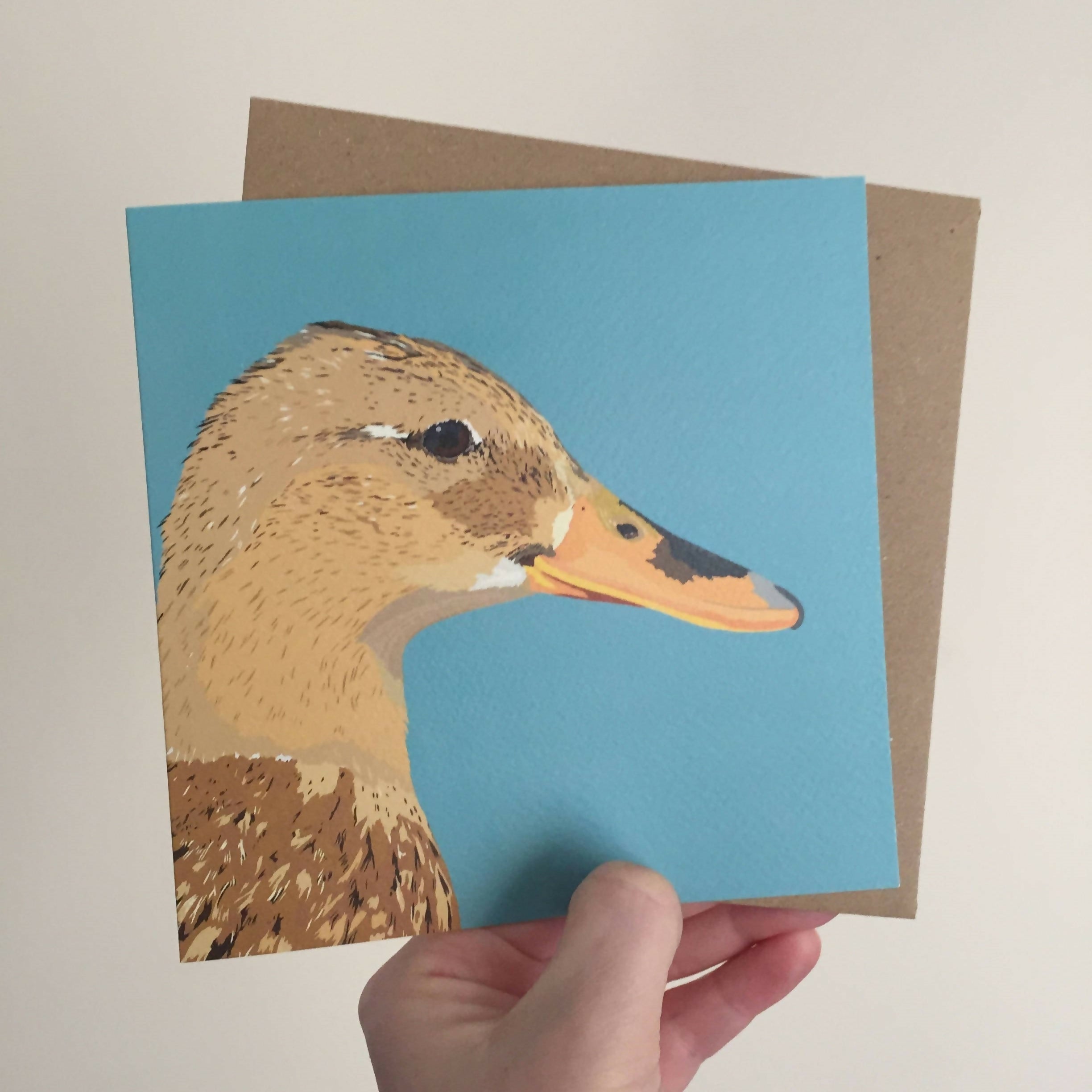 Mallard Duck Greetings Card