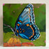 Blue Butterfly Floral - Original Acrylic Painting