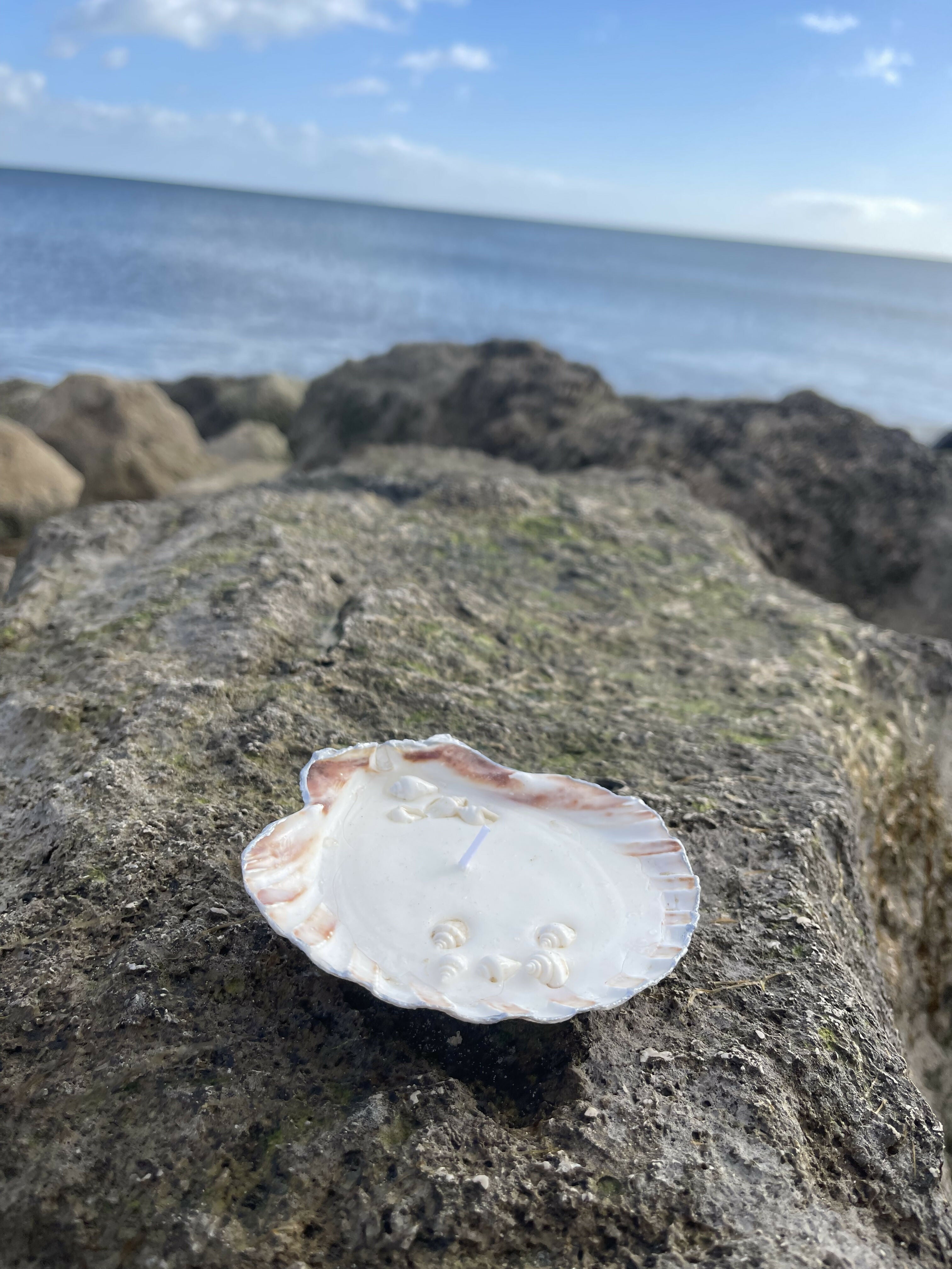 Scallop Shell Candle