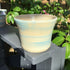 Blue Studio Pot