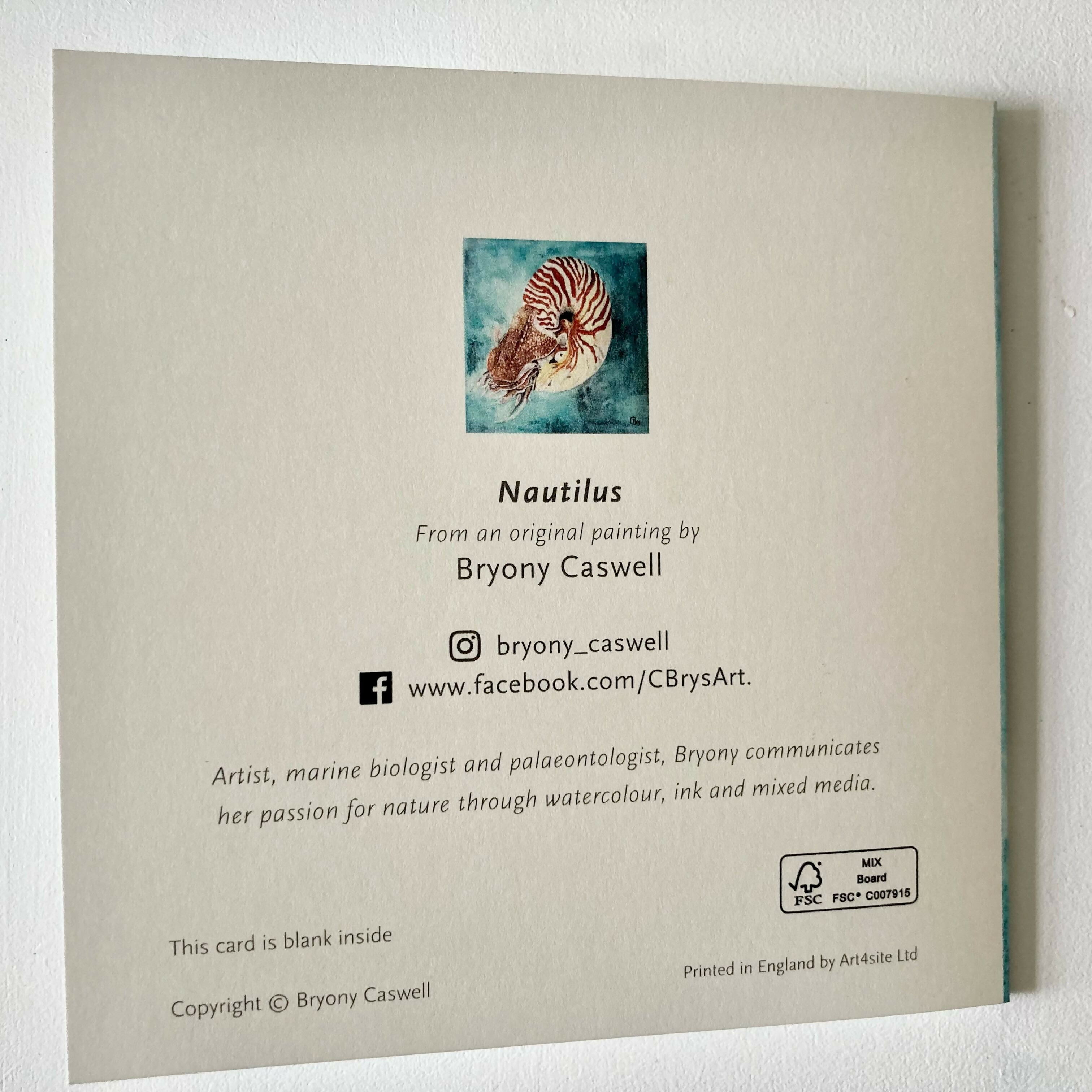 Nautilus - greetings card
