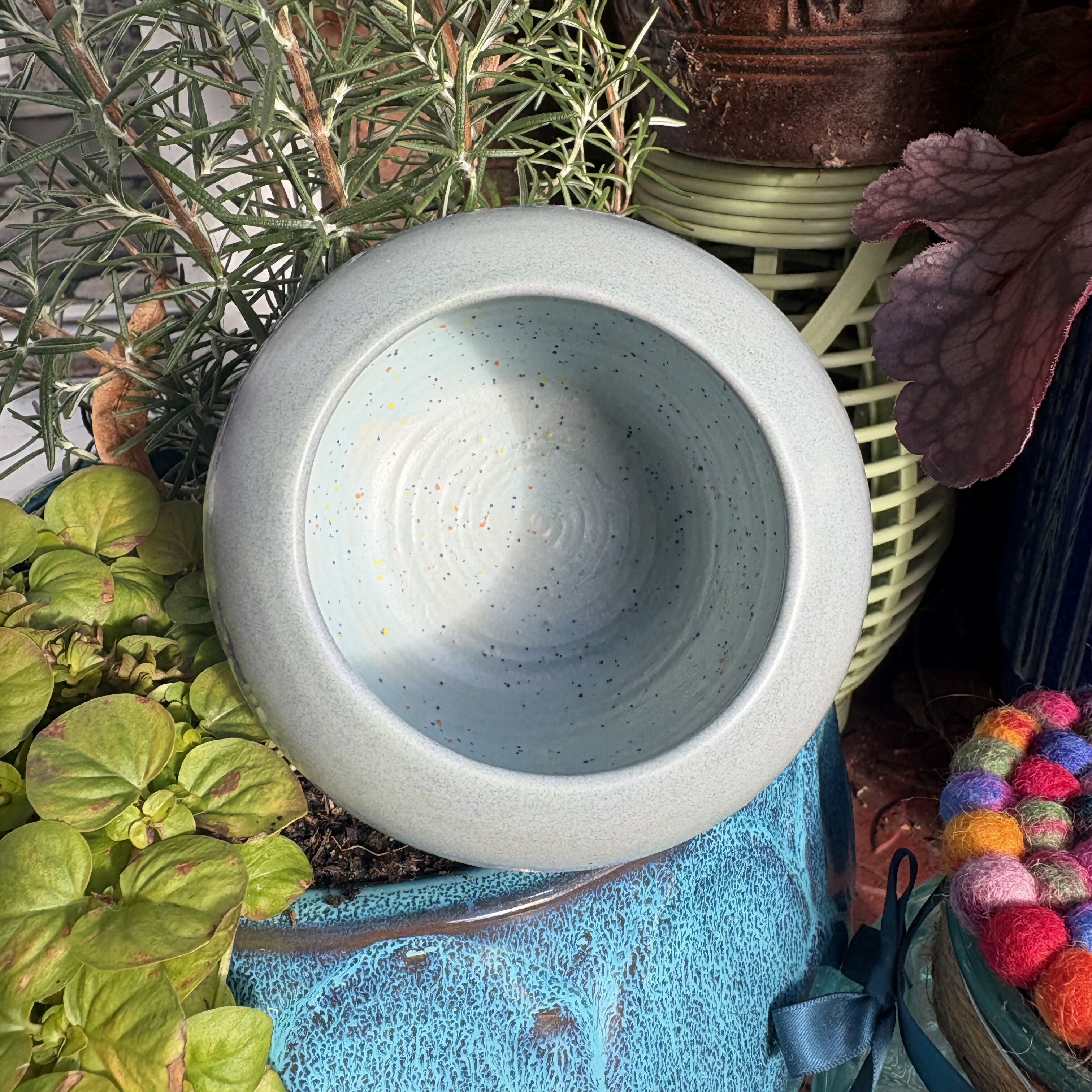 Speckled Globe