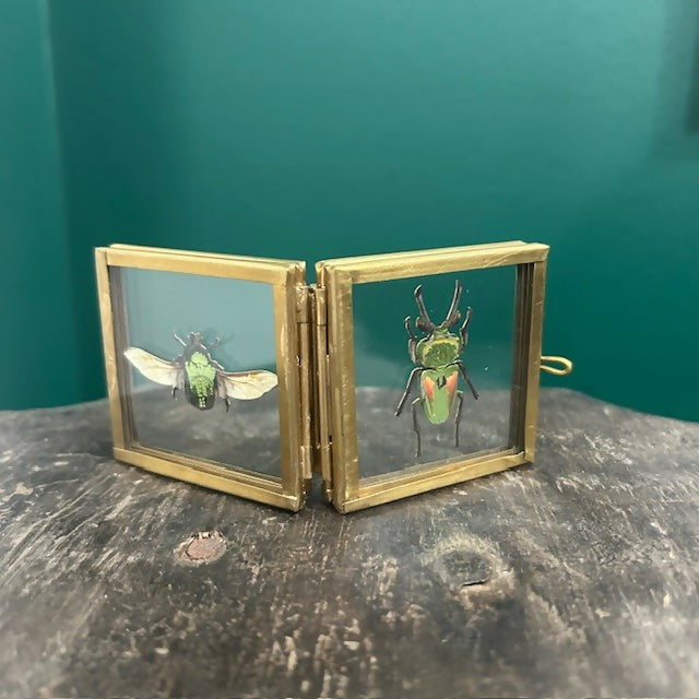 Lovely Faux Paper Rainbow Stag Beetle & Rose Chafer Beetle In An Antique Inspired Mini Book Frame