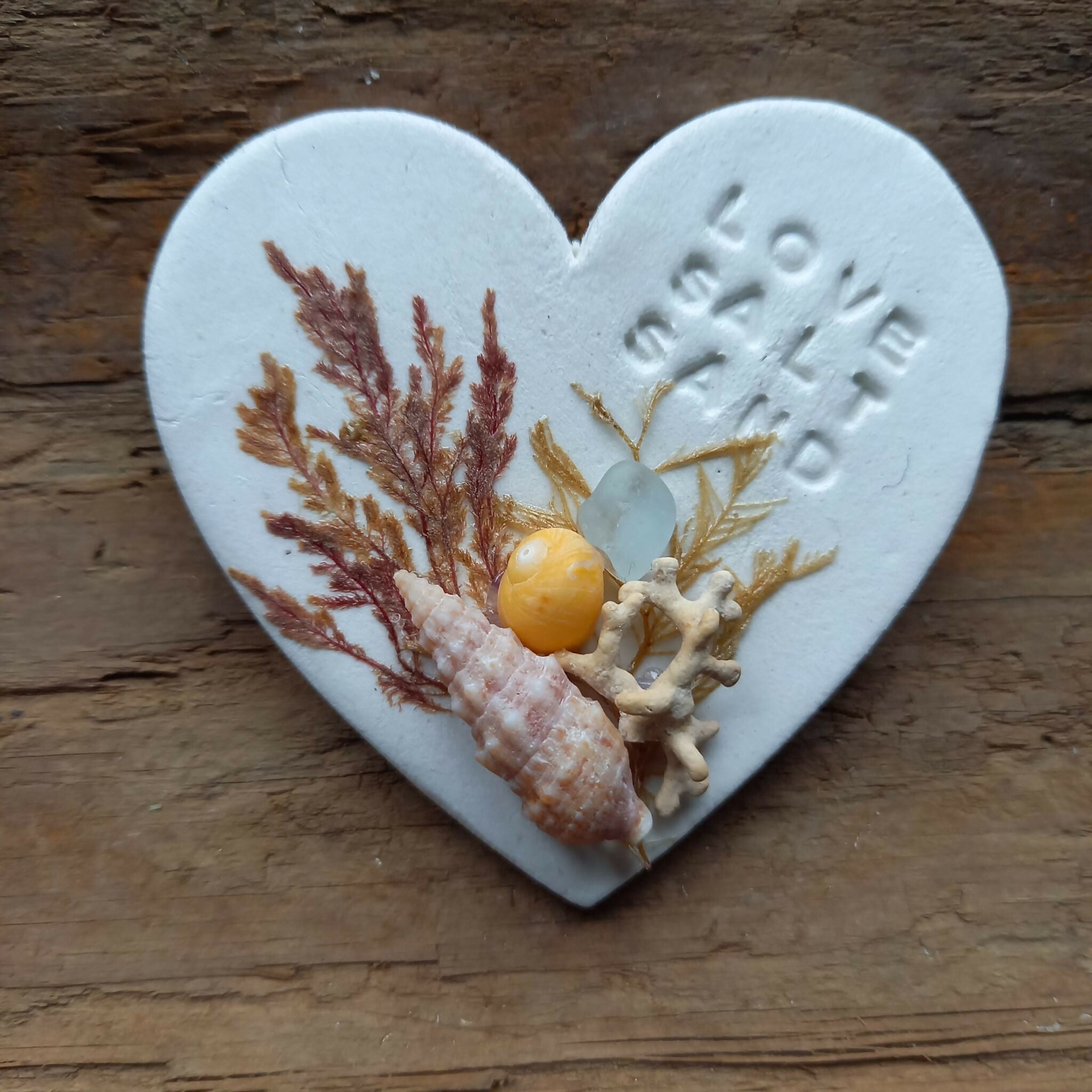 Real Pressed Seaweed Art Fridge Magnet