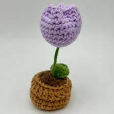 Crochet Mini Pot