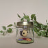 Bee Jar Less Bright Mix 7 Painty Paws 2025