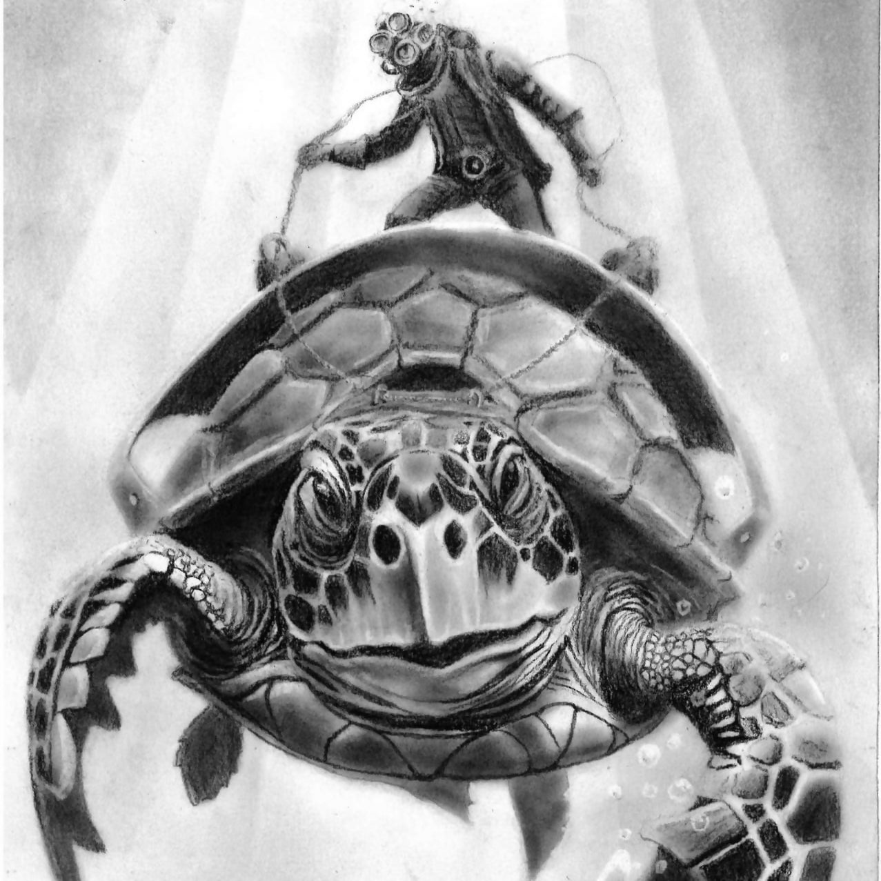 turtle